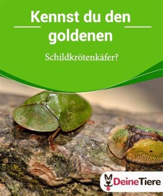  Die Geschichte von Greedy Tortoise und ihre Lehren über Geiz und Bescheidenheit