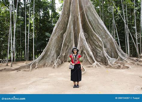  Yai Mae Phueng: Ein Thai-Märchen des 8. Jahrhunderts über Mutterschaft und die Macht der Natur!