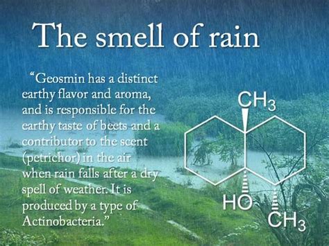 御徒町 ステーキ - なぜか思い出すのは、あの日の雨の匂い